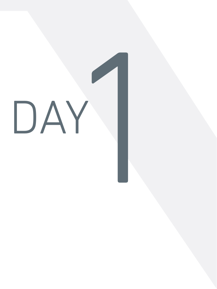 Day 1